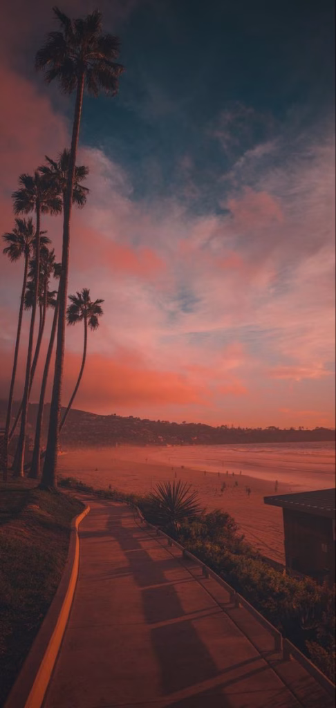 Aesthetic Wallpapers