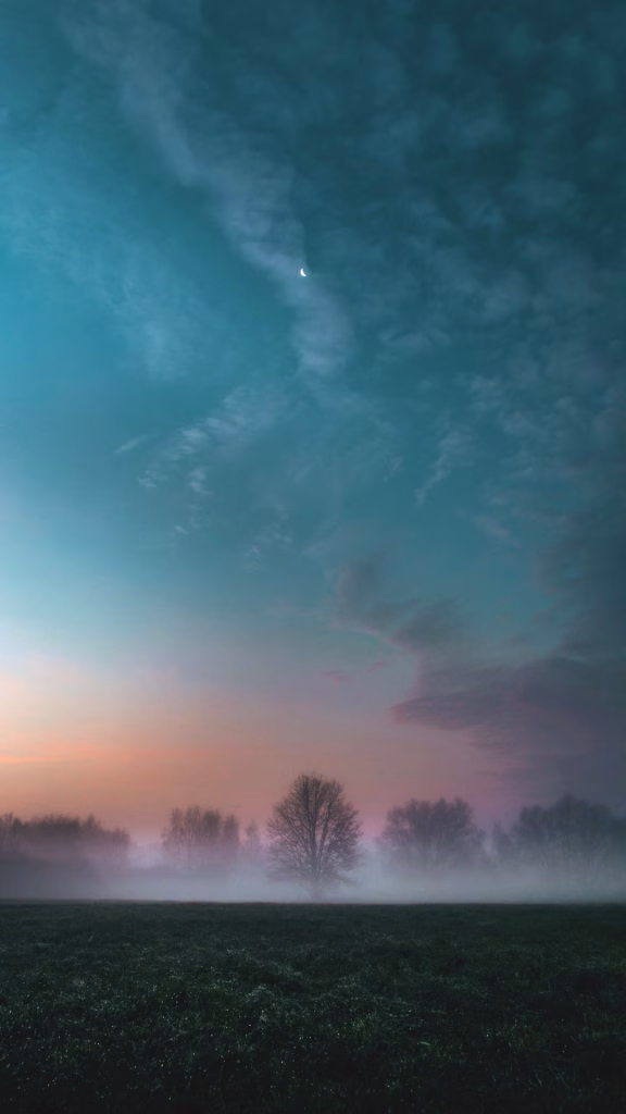 Aesthetic Wallpapers