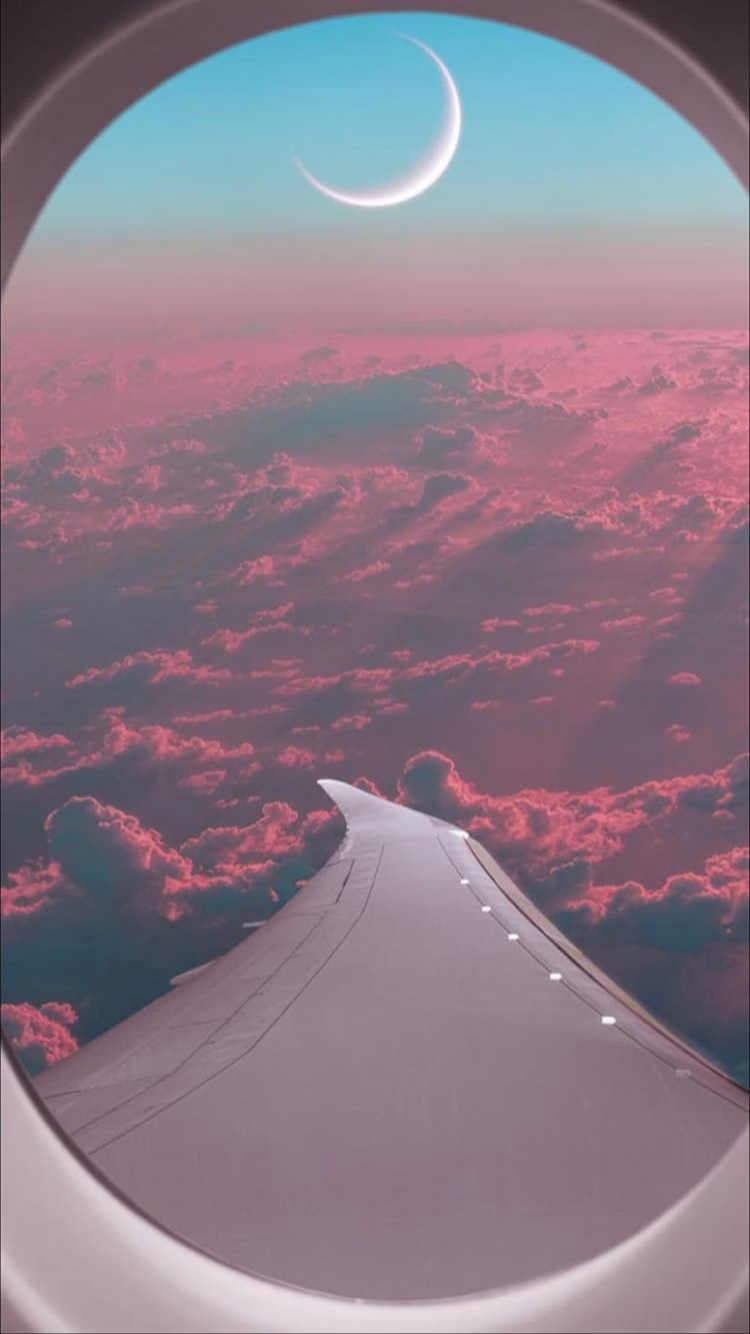 744782857164186542