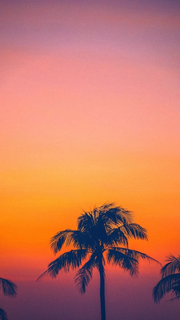 Aesthetic Wallpapers
