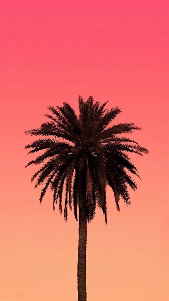 Aesthetic Wallpapers