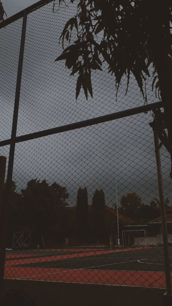 Aesthetic Wallpapers