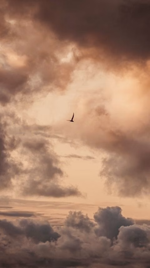 Aesthetic Wallpapers