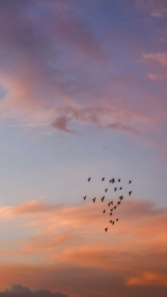 Aesthetic Wallpapers