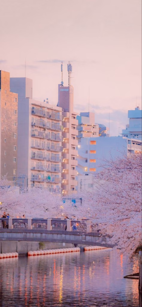 Aesthetic Wallpapers