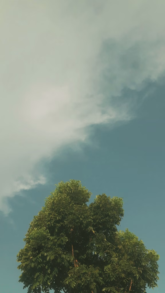 Aesthetic Wallpapers
