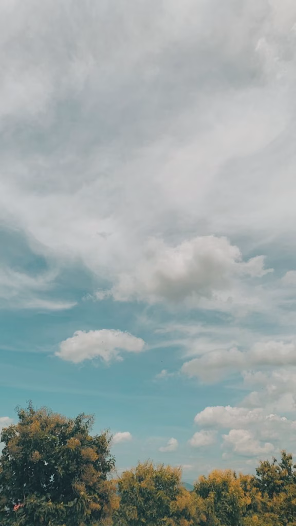 Aesthetic Wallpapers