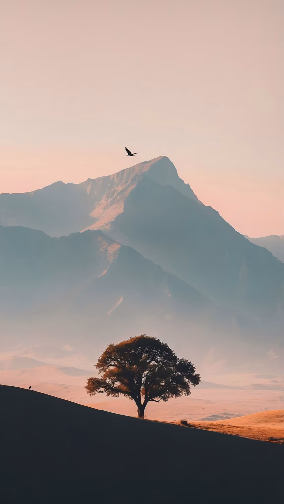 Aesthetic Wallpapers