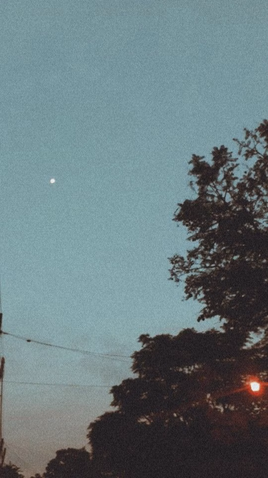 Aesthetic Wallpapers