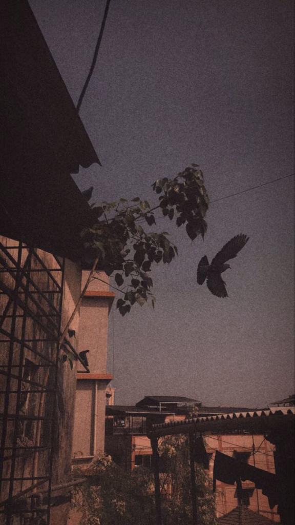 Aesthetic Wallpapers