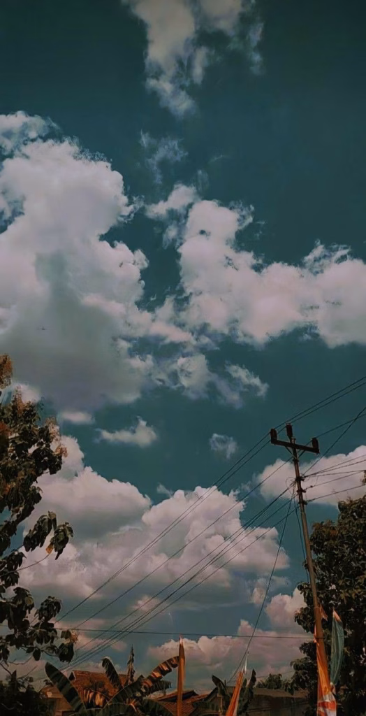 Aesthetic Wallpapers