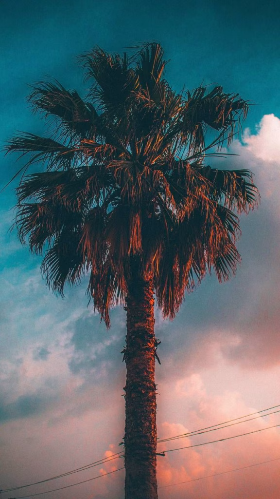 Aesthetic Wallpapers