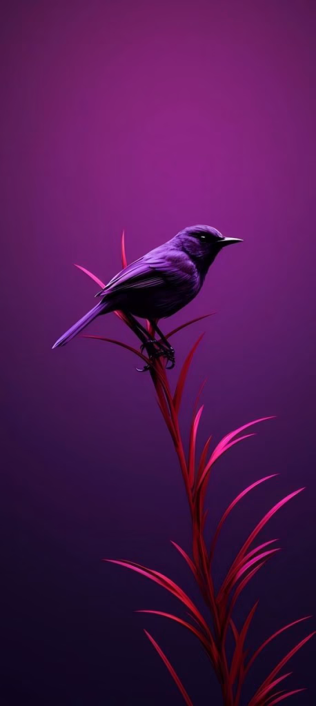 Aesthetic Wallpapers