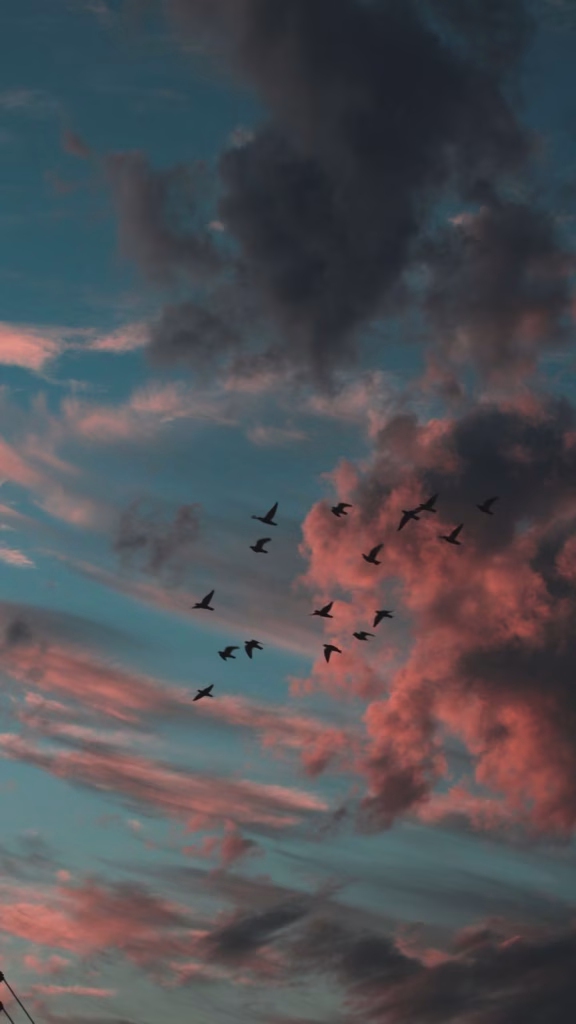 Aesthetic Wallpapers