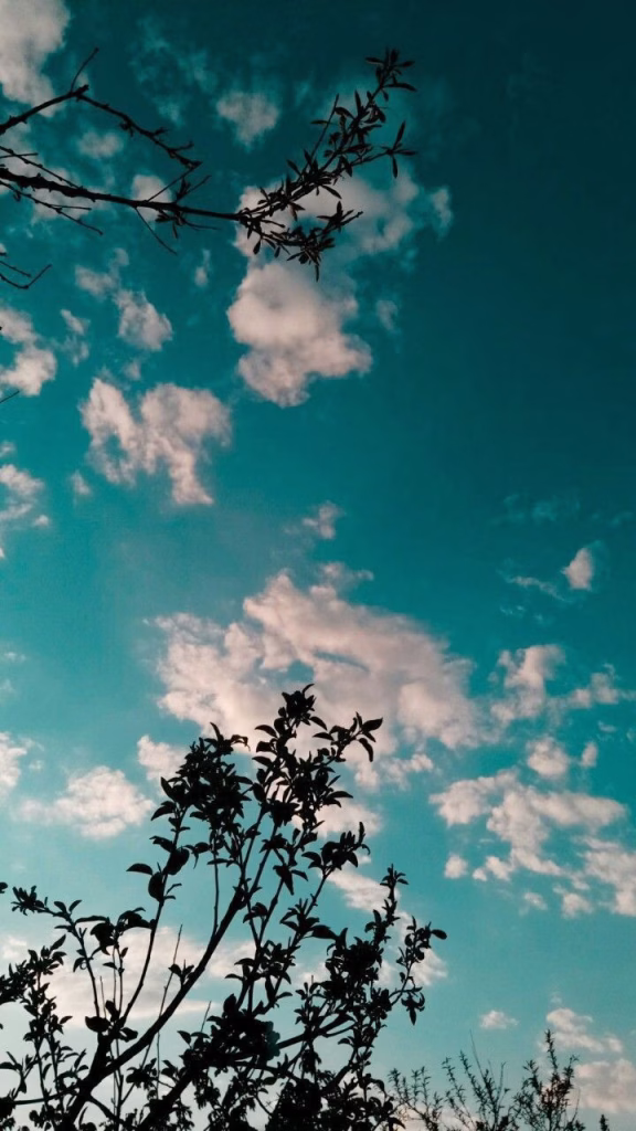 Aesthetic Wallpapers