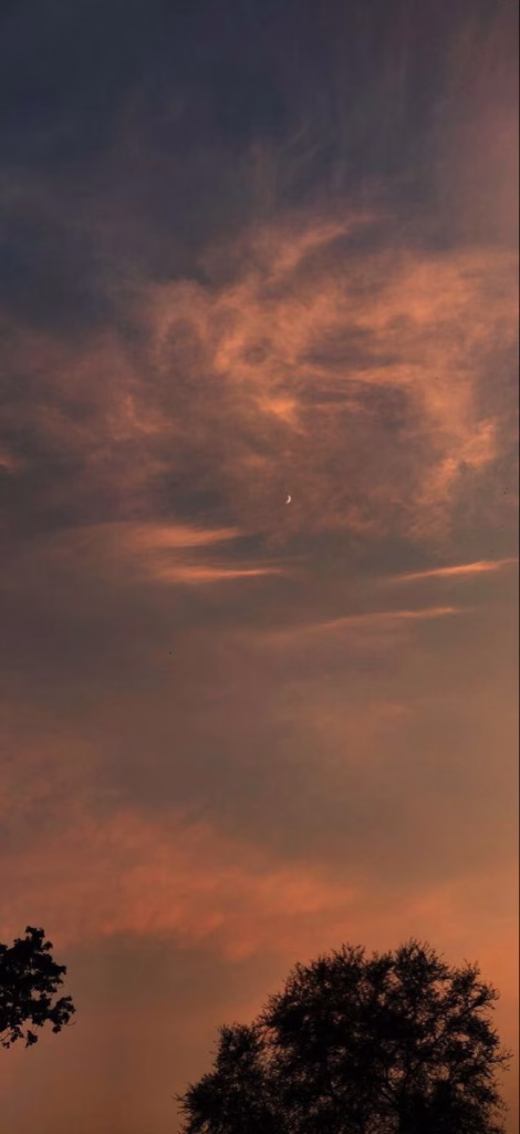 Aesthetic Wallpapers