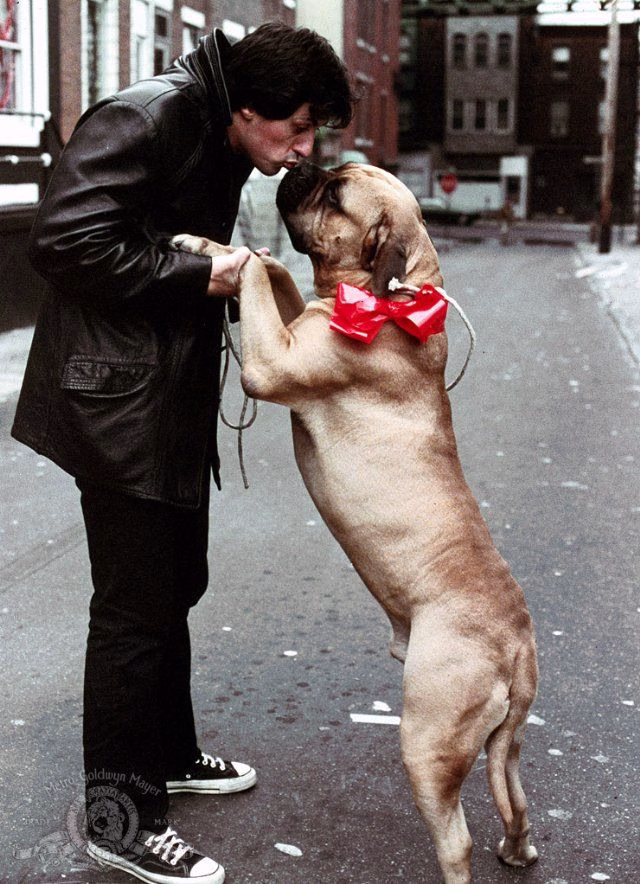 Sylvester Stallone