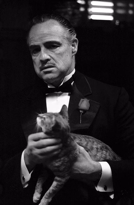 Mafia