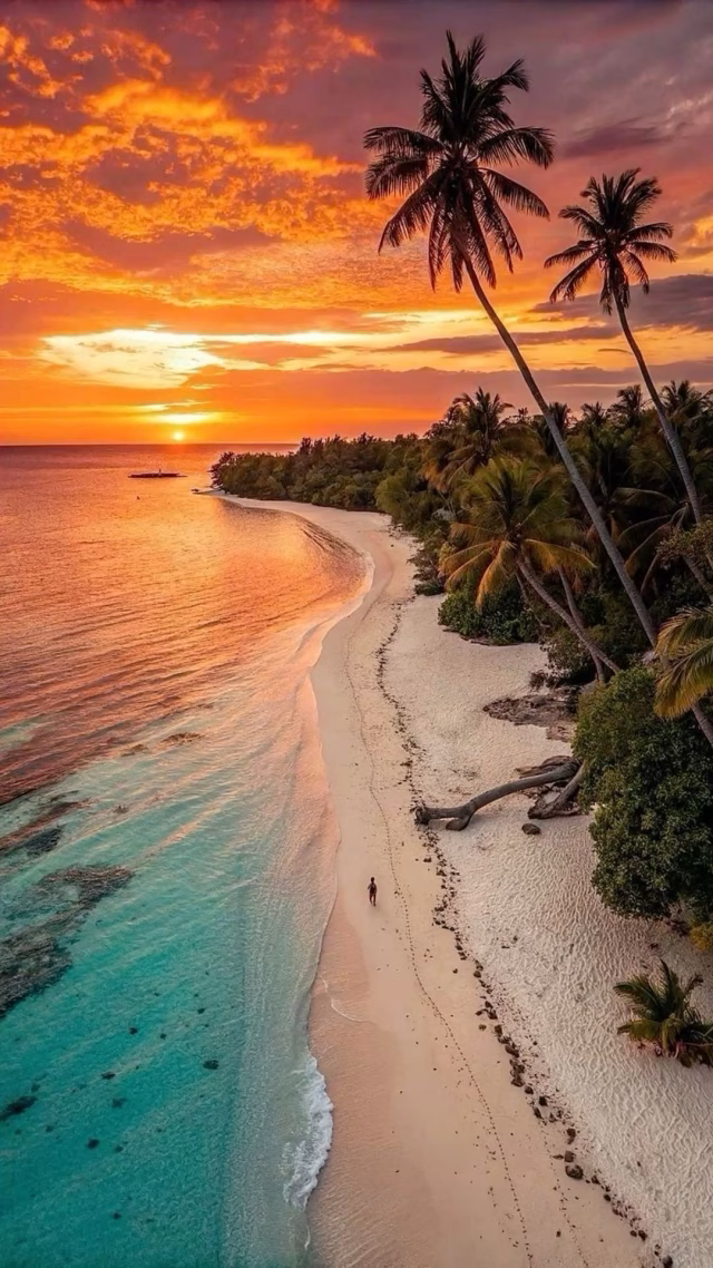 974466438126560369_1