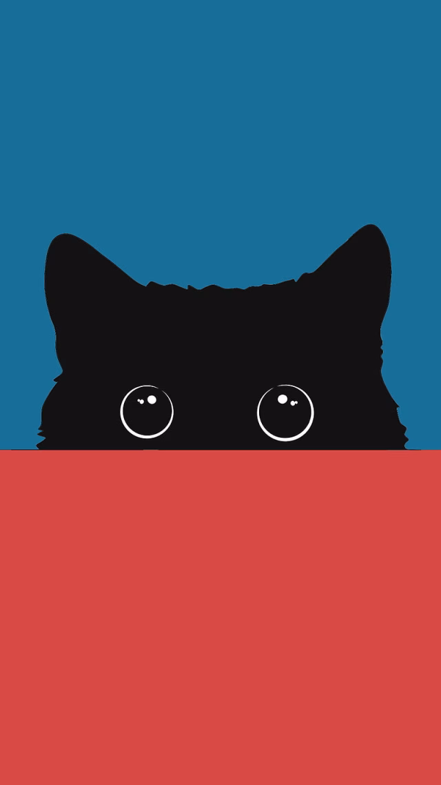 HD-wallpaper-cat-audi-black-bmw-cars-cats-illustrator-memr32-panther-royal-enfield