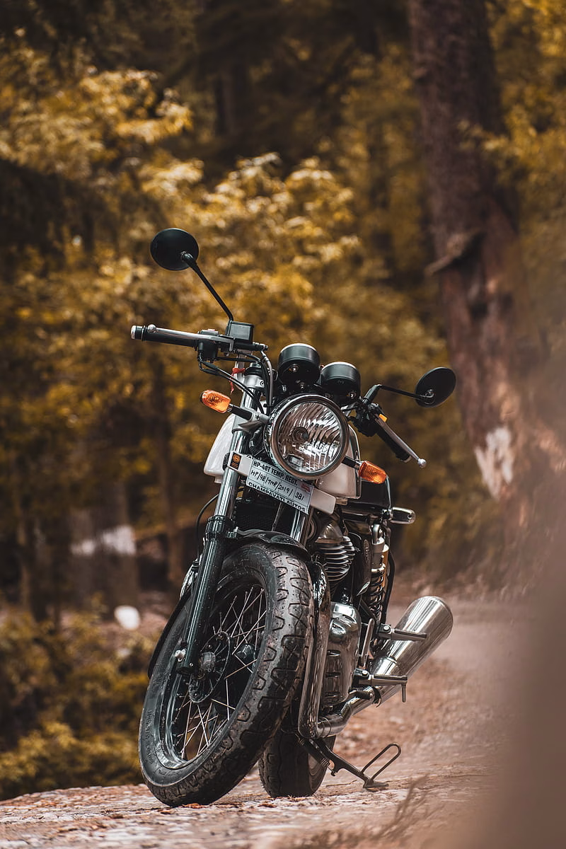 HD-wallpaper-continental-gt-automobile-best-bike-bikes-forest-motorcycle-nature-royal-enfield