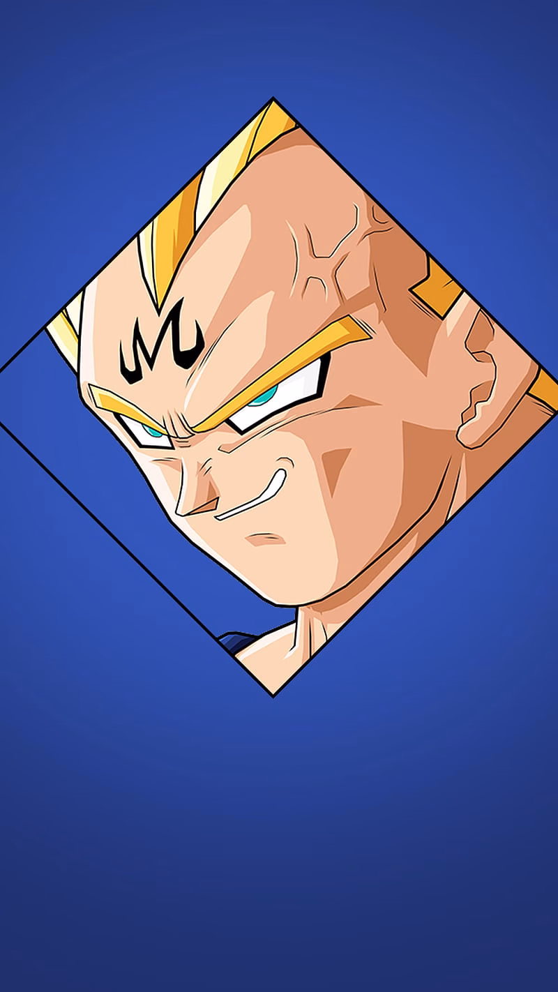 HD-wallpaper-dragon-ball-dragon-ball-z-vegeta