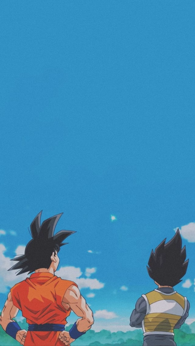 HD-wallpaper-goku-and-vegeta-saiyans
