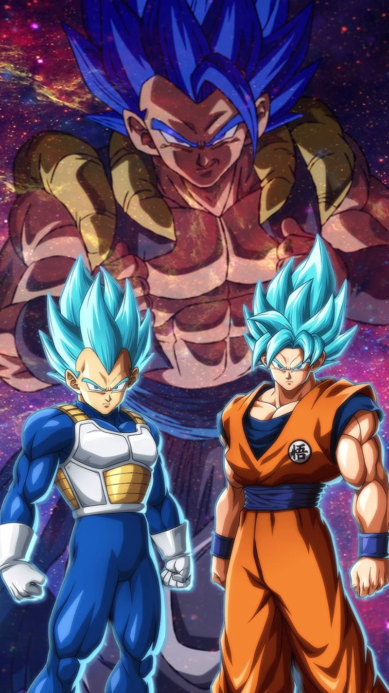 HD-wallpaper-goku-vegeta-gogeta-dragonball-goku-ssj-blue-vegeta