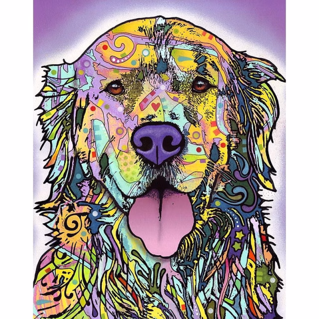 HD-wallpaper-golden-retriever-dog-dogs-pet-pets
