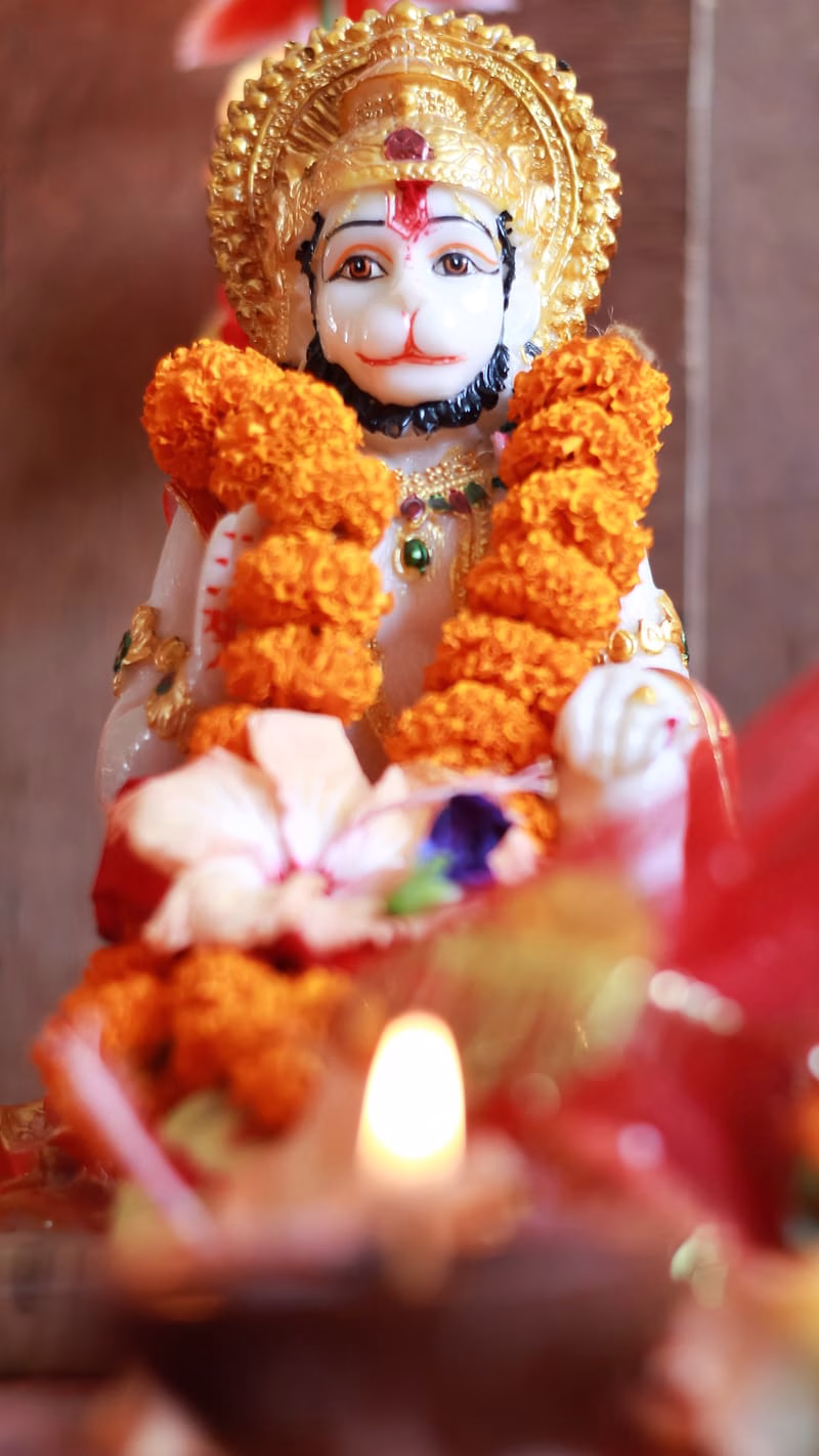 HD-wallpaper-hanuman-with-flowers-hanuman-flowers-lord-god-bhagwan