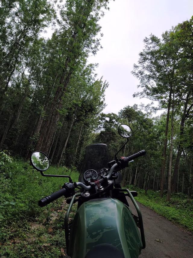 HD-wallpaper-himalayan-pine-green-himalayan-royal-enfield