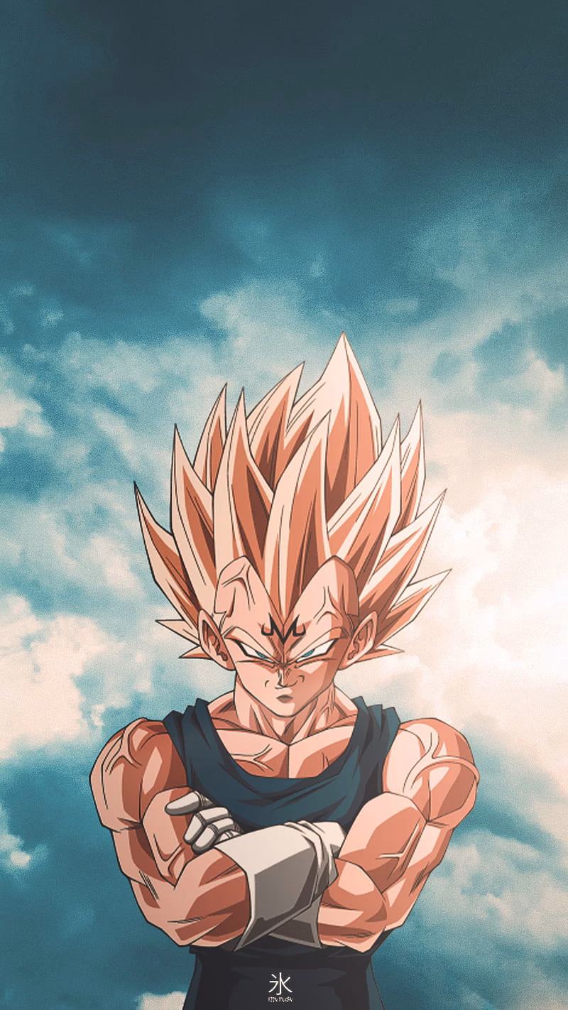 HD-wallpaper-majin-vegeta-ball-dragonball-dragonball-z-dragon-anime