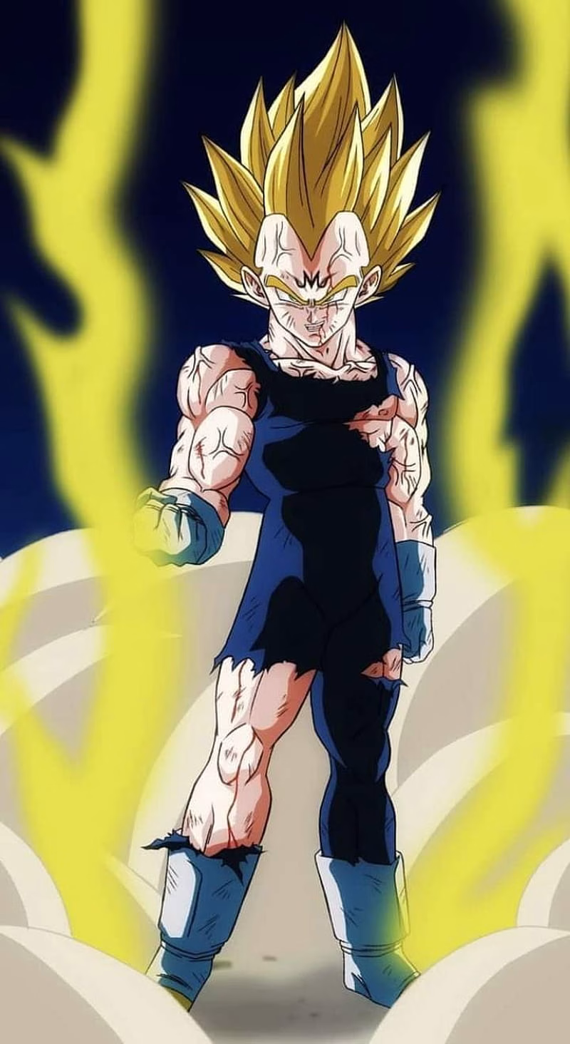 HD-wallpaper-majin-vegeta-ball-z-dragon