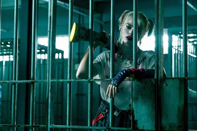 HD-wallpaper-movie-birds-of-prey-and-the-fantabulous-emancipation-of-one-harley-quinn-harleen-quinzel-harley-quinn-margot-robbie-5