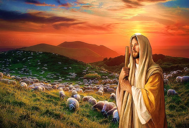 HD-wallpaper-my-good-shepherd-jesus-christ-christ-sheep-jesus-religion-shepherd-flock