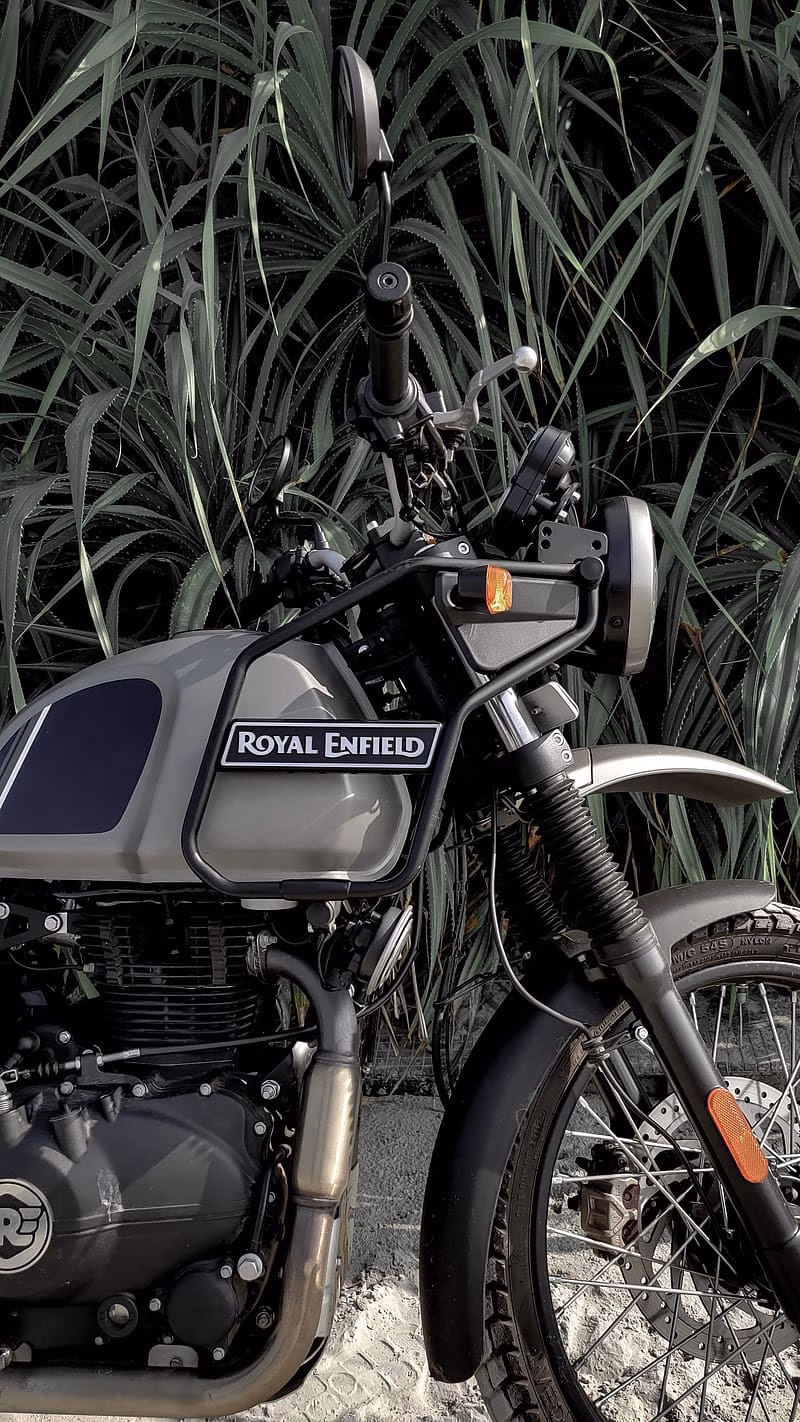 HD-wallpaper-royal-enfield-live-himalayan-with-grass-background-himalayan-bike-grass-background-bike
