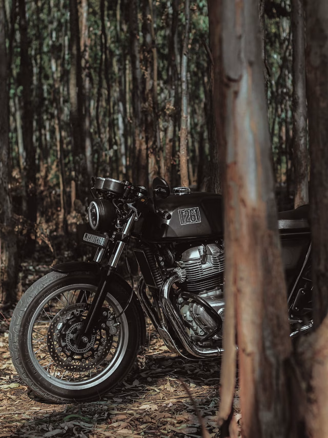 HD-wallpaper-royal-enfield-motorcycle-bike-black-forest