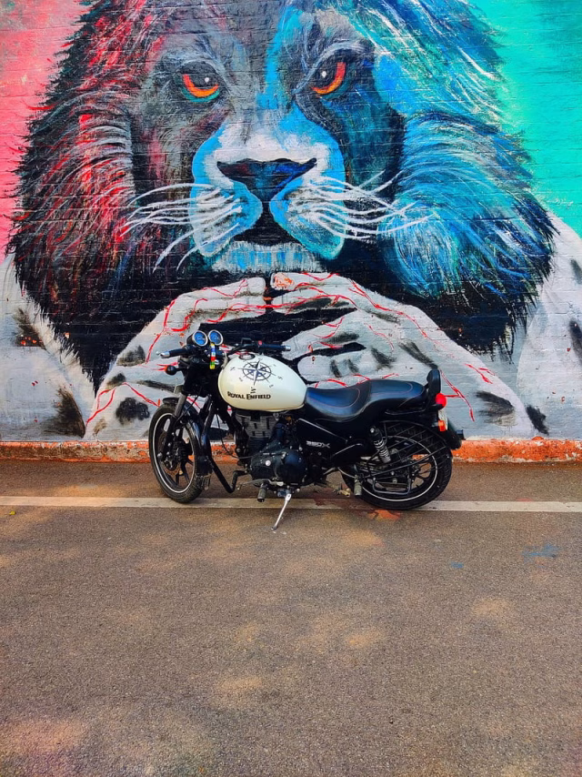HD-wallpaper-royal-enfield-tb350x-creative-graphy-royal-enfield-thunderbird-350x-white-bike-bikers-riders-lion-art-animal-painting-lion-graphy
