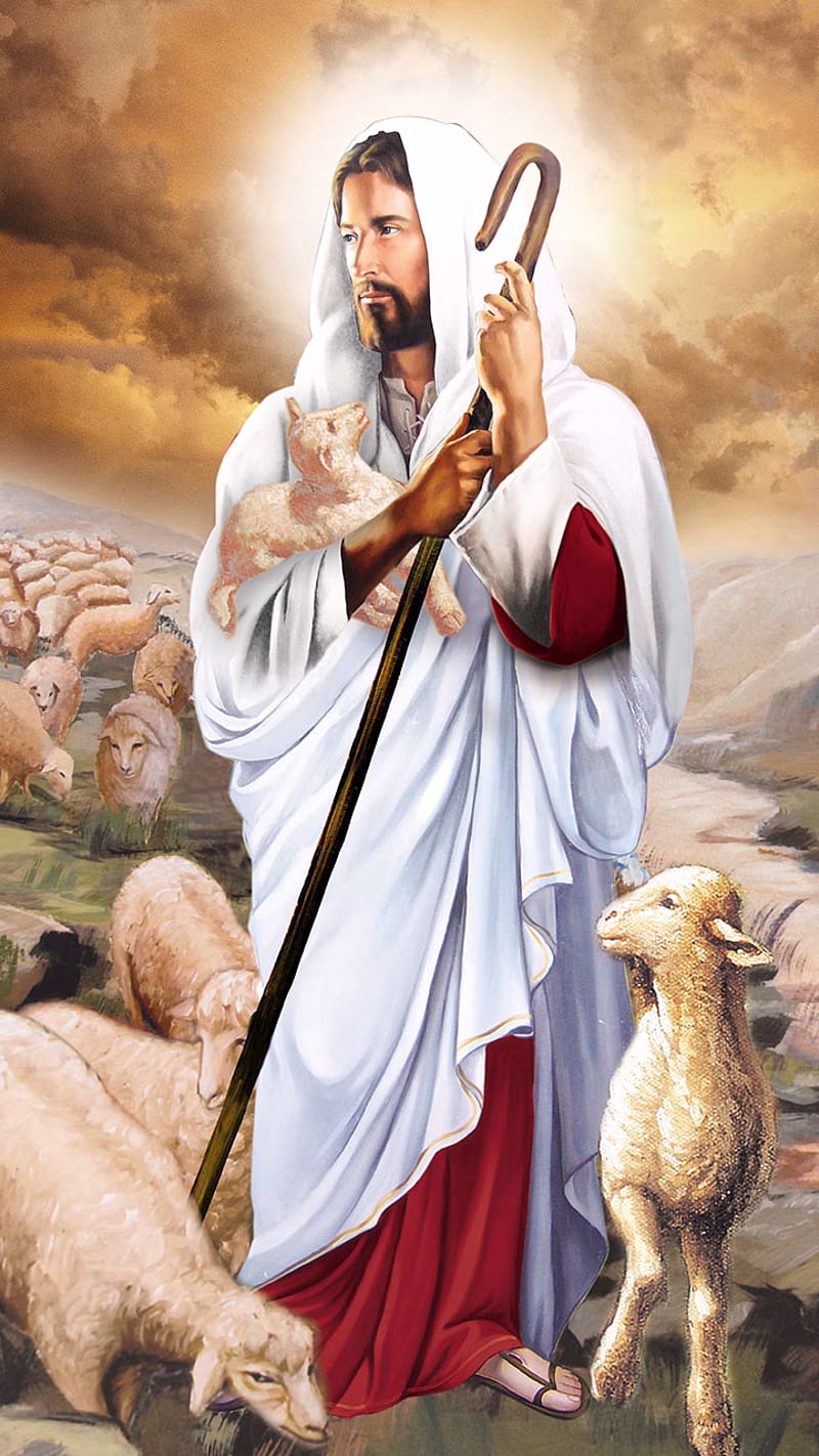 HD-wallpaper-the-good-shepherd-ch-christ-christian-jesus