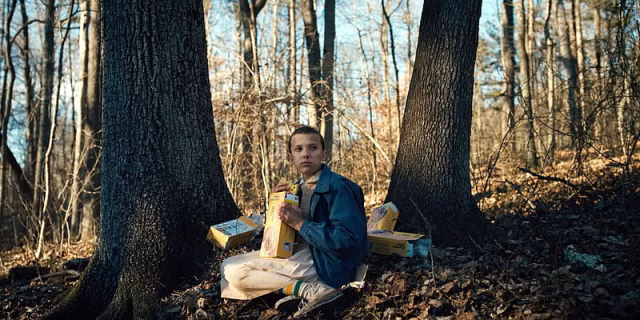 HD-wallpaper-tv-show-stranger-things-millie-bobby-brown-eleven-stranger-7