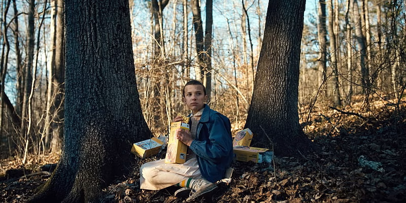 HD-wallpaper-tv-show-stranger-things-millie-bobby-brown-eleven-stranger-7