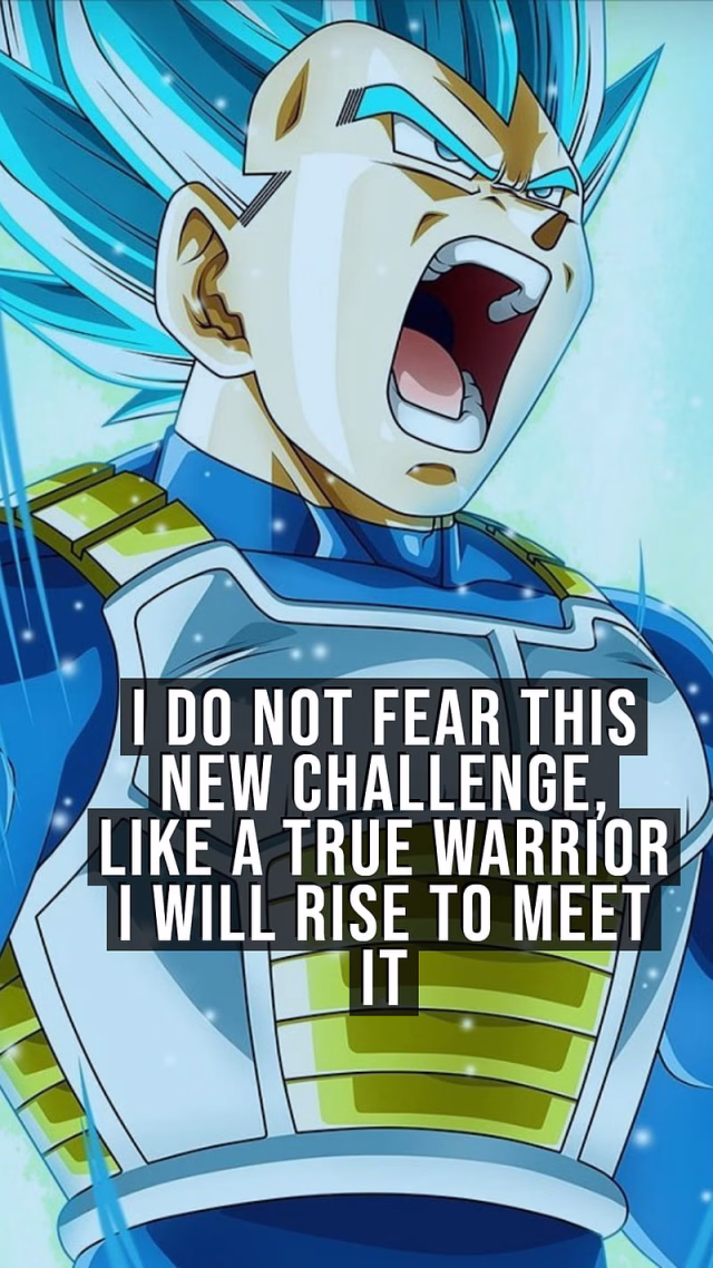 HD-wallpaper-vegeta-anime-dragon-ball-z-inspiration-motivation-pride-quotes-strength-vegeta