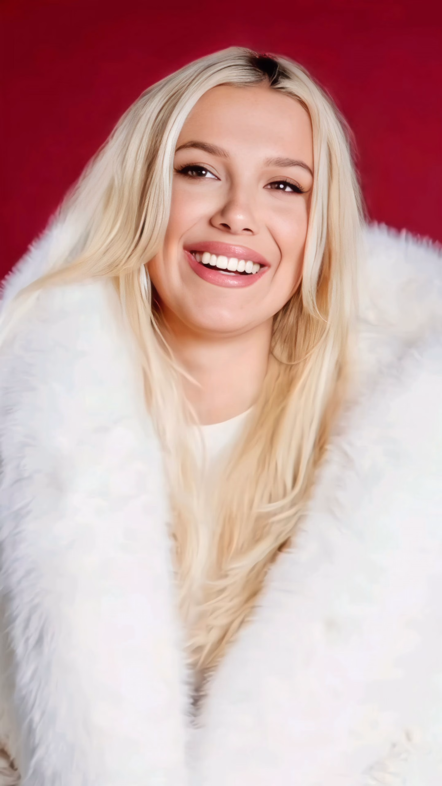 a4e121a6da1ae77872bee35354729114